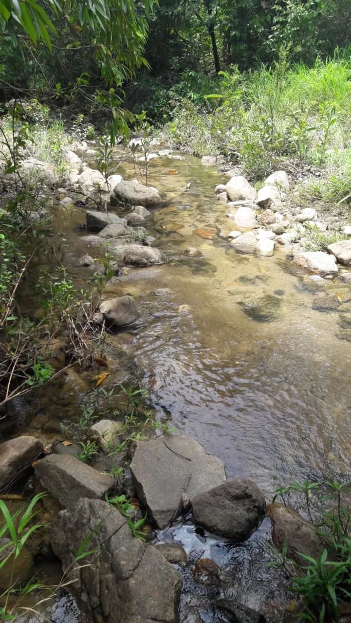 FAZENDA 43,5 ALQ  - Foto 11