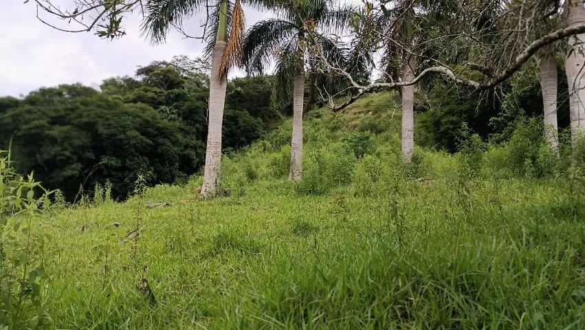 Ótimo sítio venda em São João Nepomuceno MG.  - Foto 4