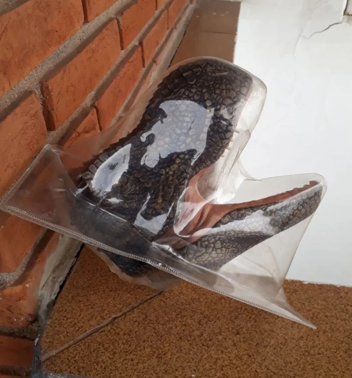 Parte do Crânio fascículo 1 Tiranossauro Rex somente peça da cara crânio (novo lacrado) - Foto 4