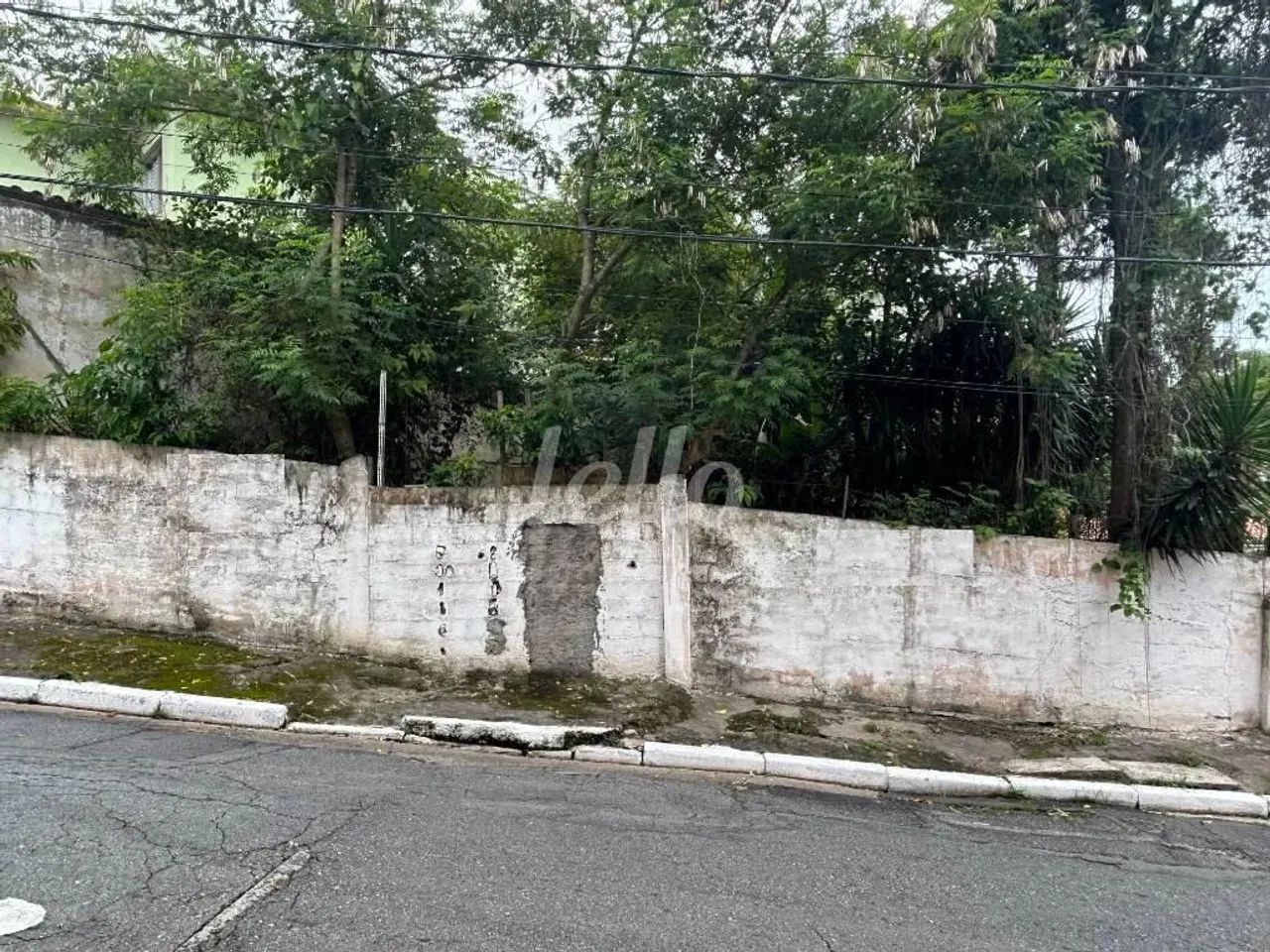 Terreno null quartos à venda no(a) Barro Branco (Zona Norte) - Foto 3