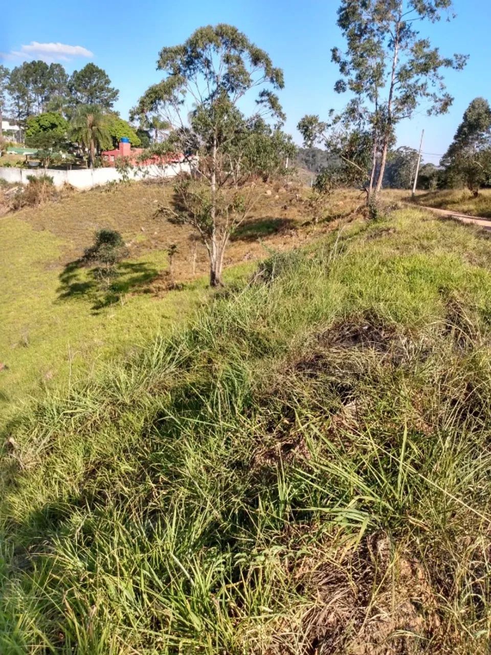 Terrenos com Escritura 880 metros R$ 70.000 - Foto 5
