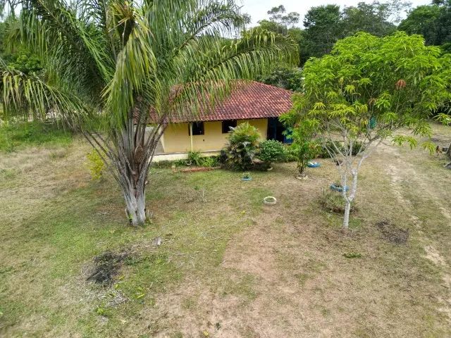 Atenção Investidores, Sitio com Igarapé, com 10 hectares, - próximo cachoeira castanh - Foto 11