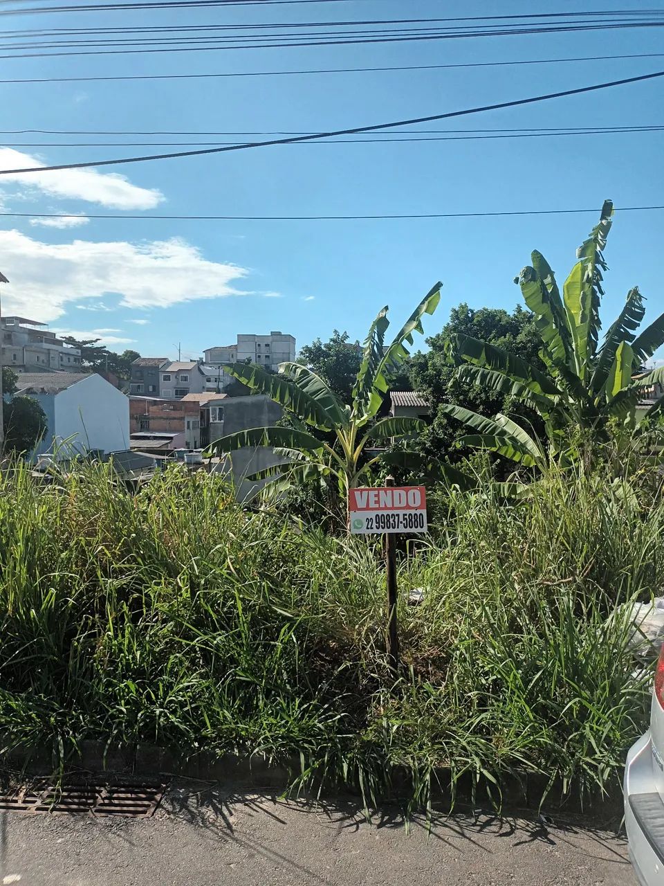 Terreno Novo Horizonte - Foto 3