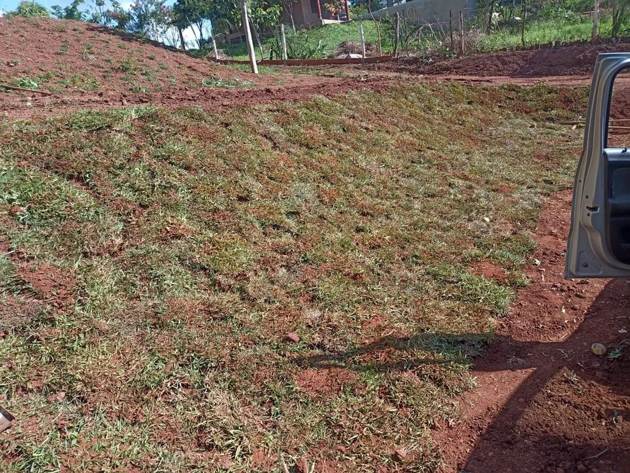 Gramas Já Plantadas - Foto 2