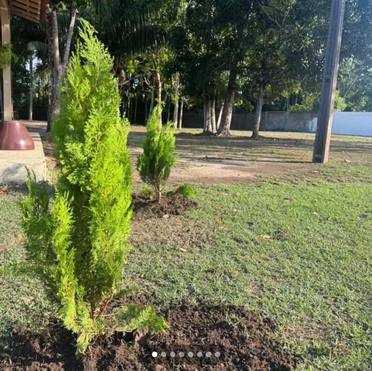 Chácara no Ramal Mururema Fazendinha - Foto 8