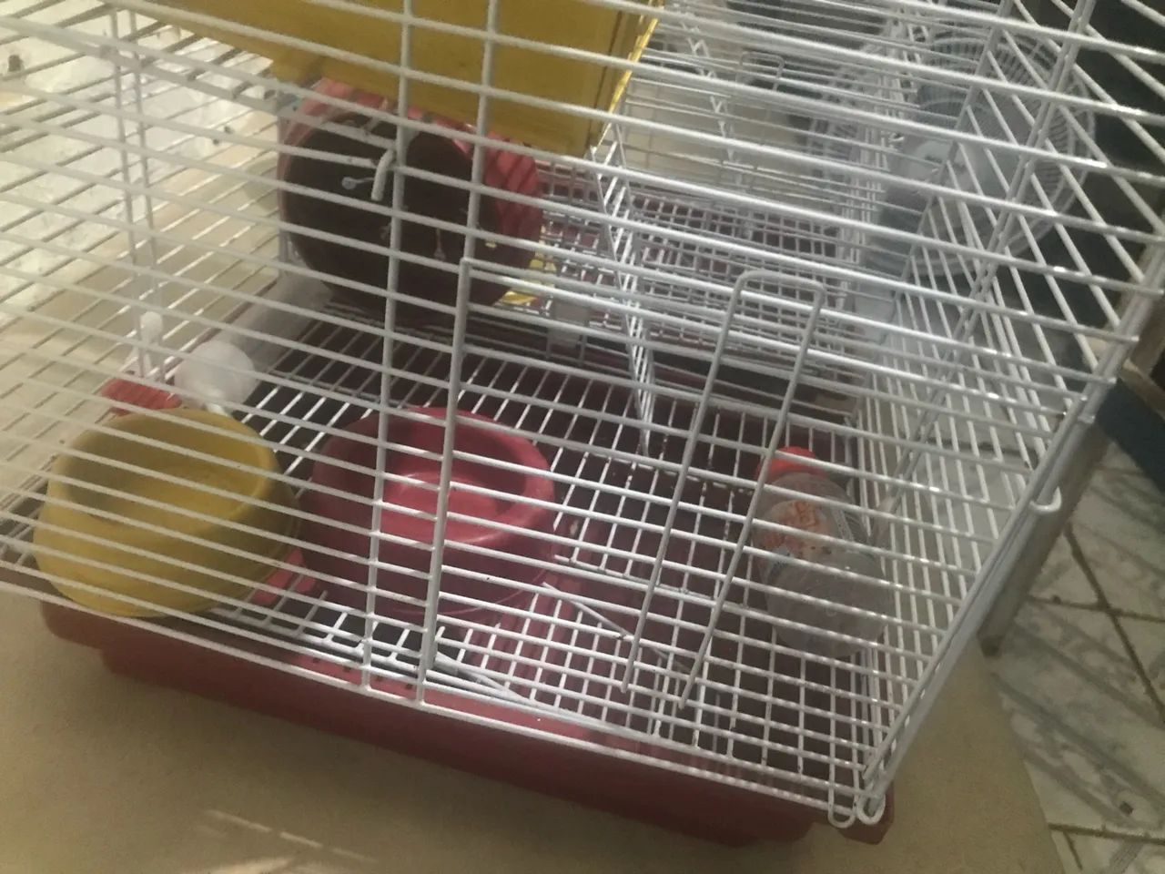 Gaiola para Roedores