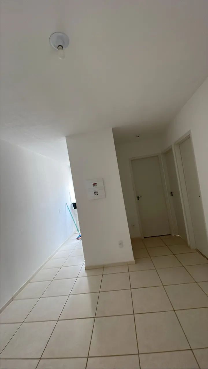 Foto - Contagem - Arvoredo