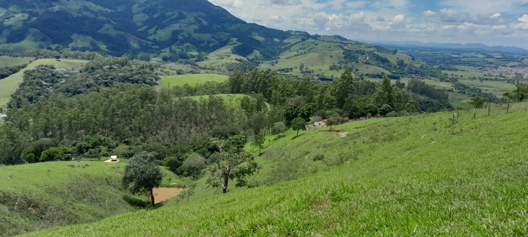 Sitio de 8 Alqueire em MG - Foto 2