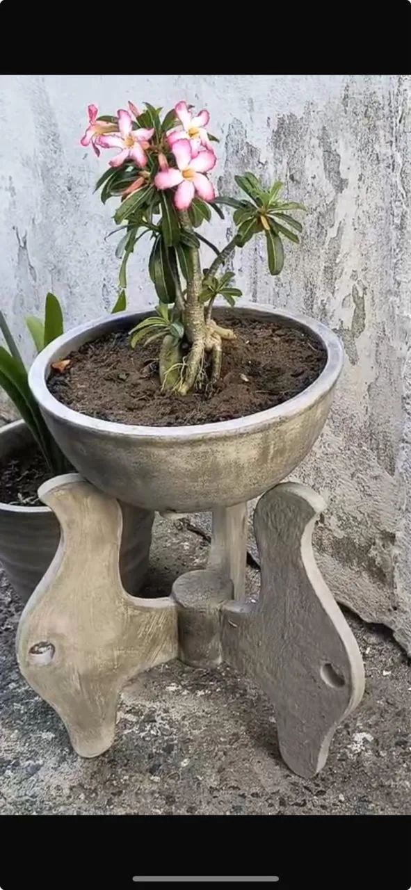 Vendo jarros  - Foto 2