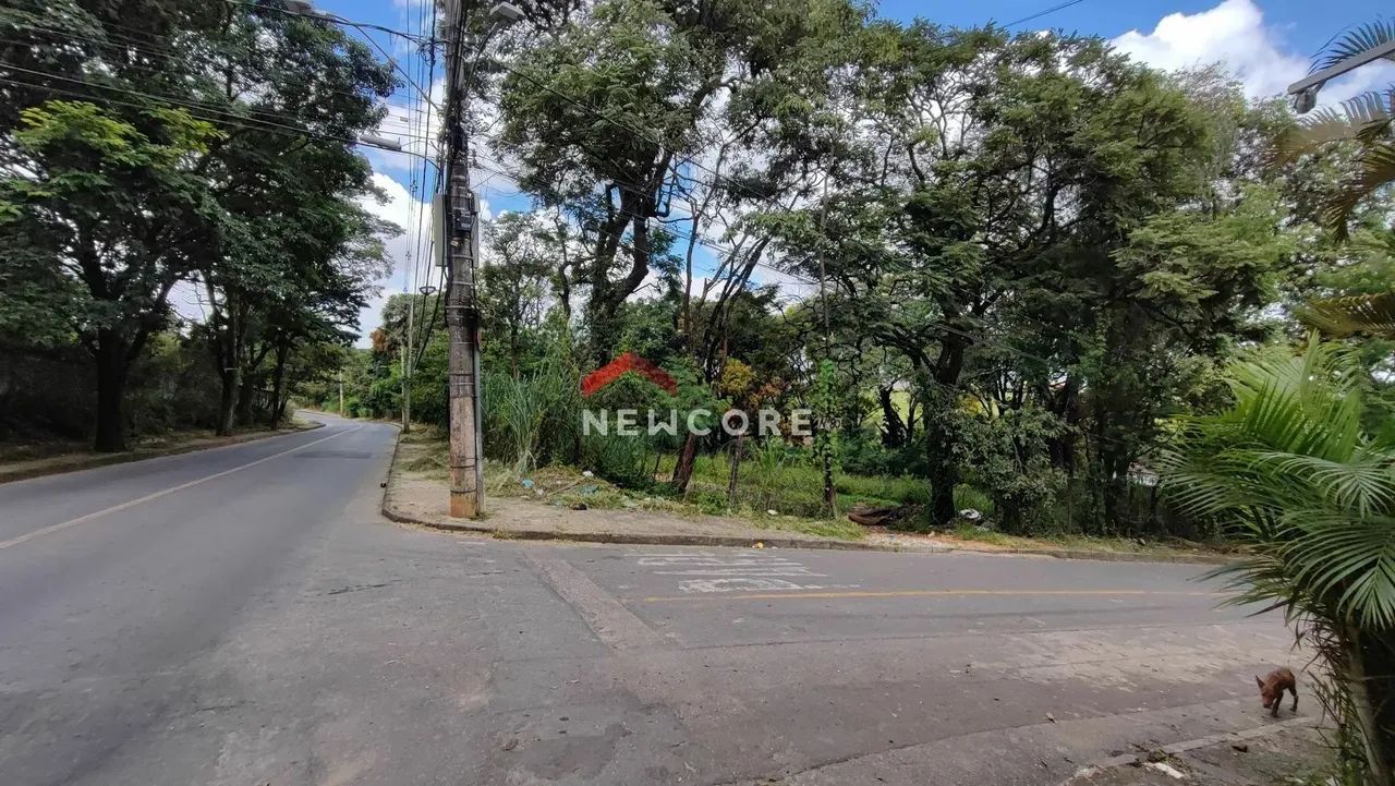 Lote em Rua José Simplício Moreira - Trevo - Belo Horizonte/MG - Foto 5