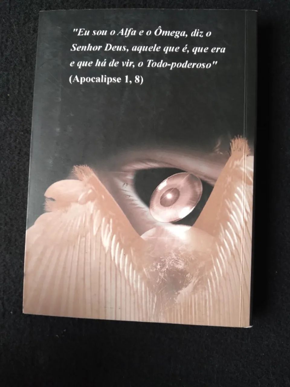 Livro, Decifrando o óbvio - Foto 2