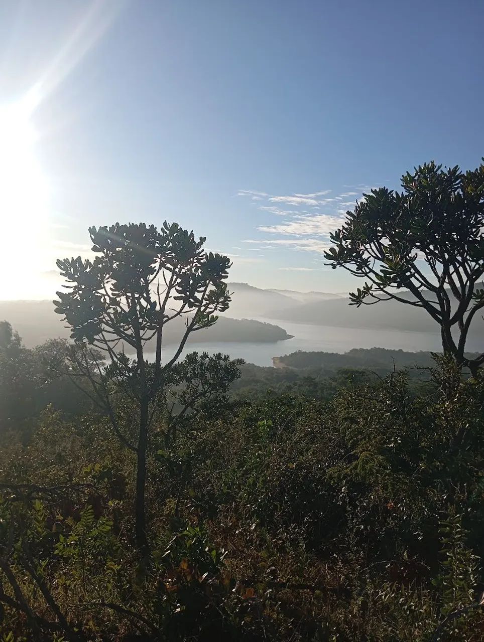 Terreno na várzea das flores 