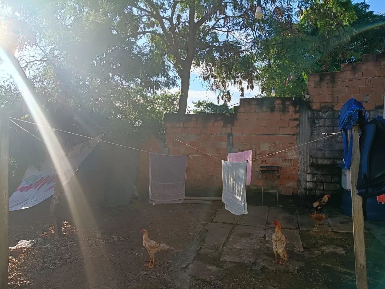 Foto - Pedro Leopoldo - Teotônio Batista de Freitas