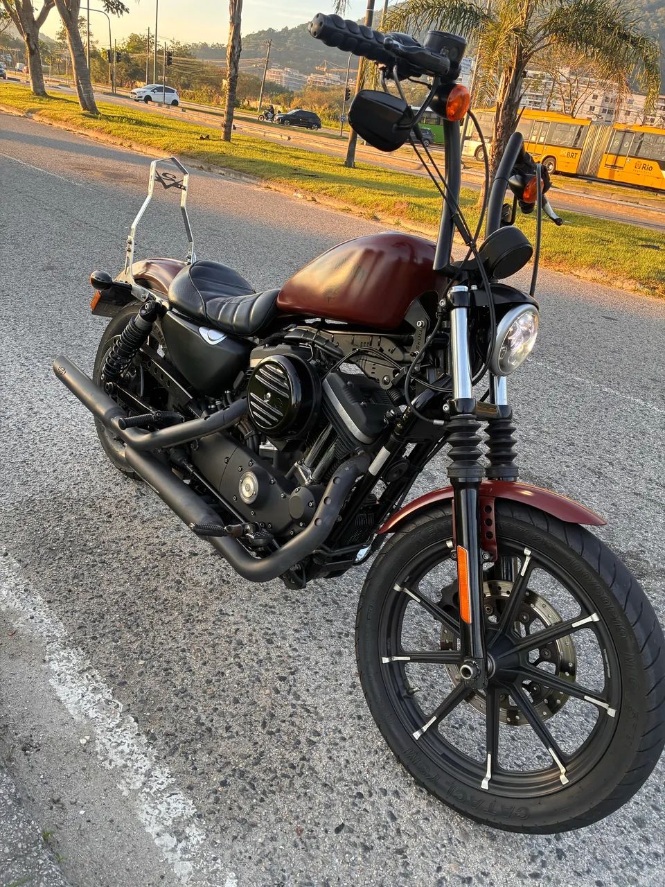 Iron 883 
