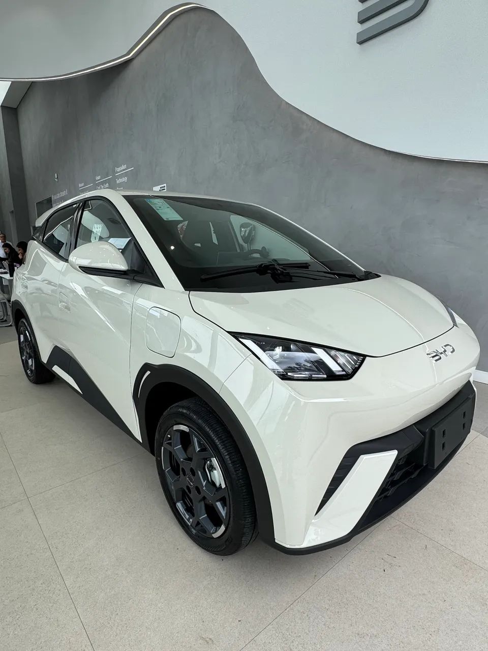 BYD Dolphin Mini GL 2027 - Foto 2