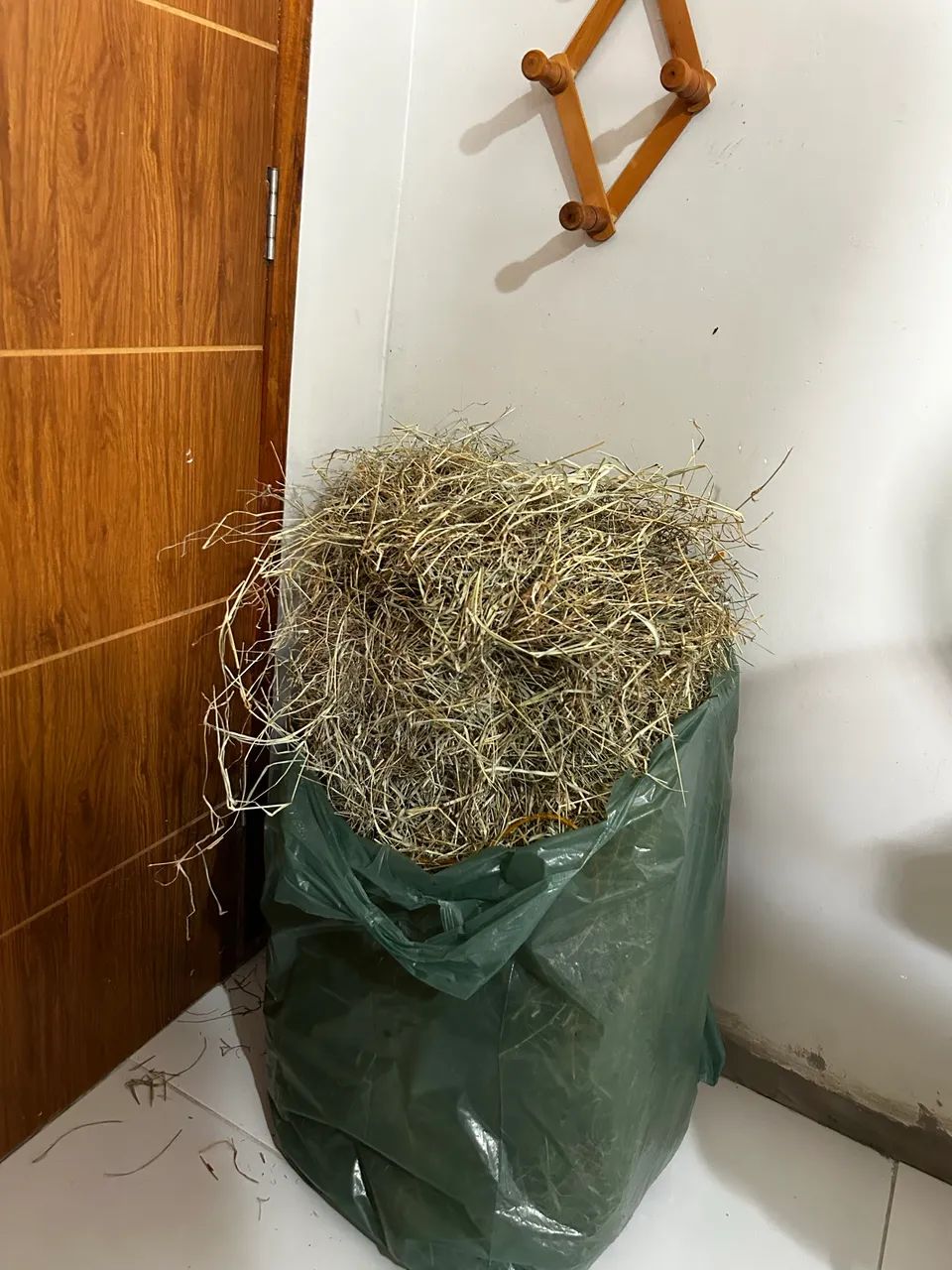Feno de primeira  - Foto 2