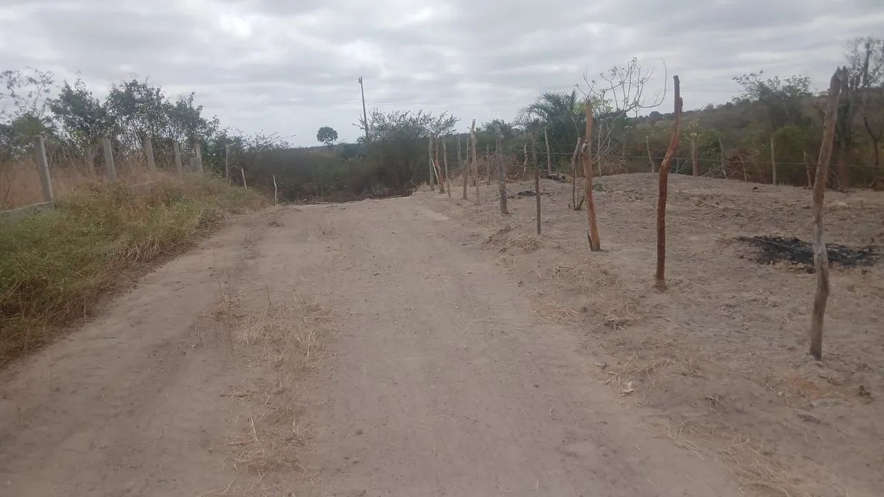 Área para sitio. - Foto 2