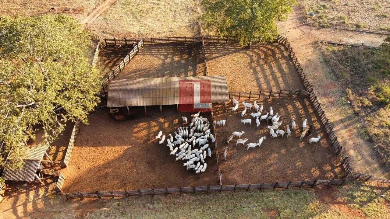 Fazenda - Costa Rica, MS oportunidade - Foto 4