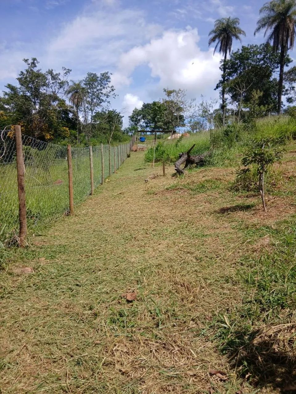 Terreno em Jaboticatubas - Foto 5