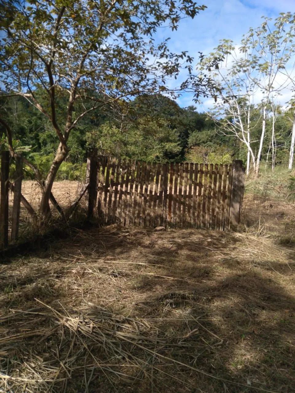 Lindo sitio 28 alqueires Itariri SP - Foto 2