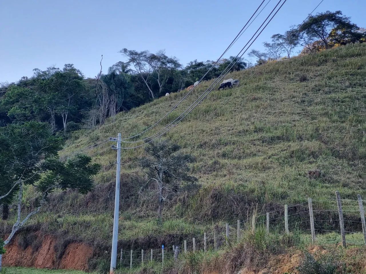Chácara / Sítio / Granja 2 quartos - Pequeri - Foto 4