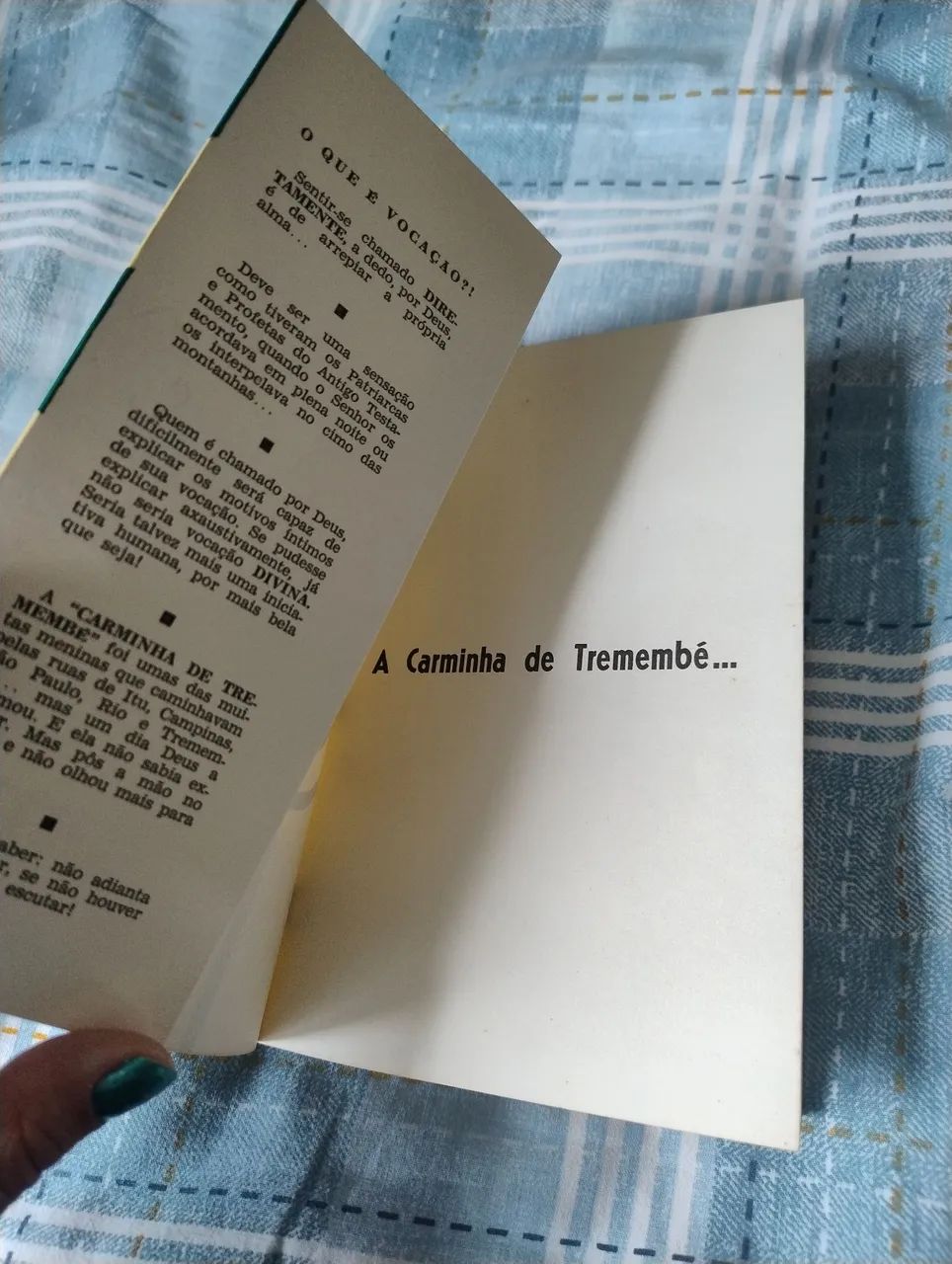 A Carminha de Tremembé  - Foto 3