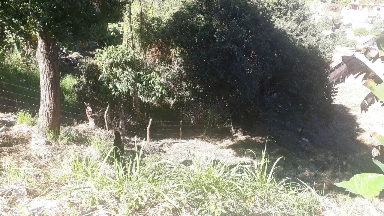 Lote próximo à Pedrona - bairro Dom Carmelo - Foto 3