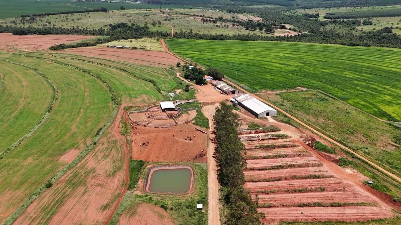 Fazenda com confinamento Uberlandia 