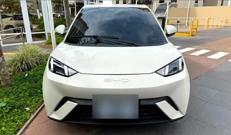 BYD Dolphin Mini GS EV 2025
