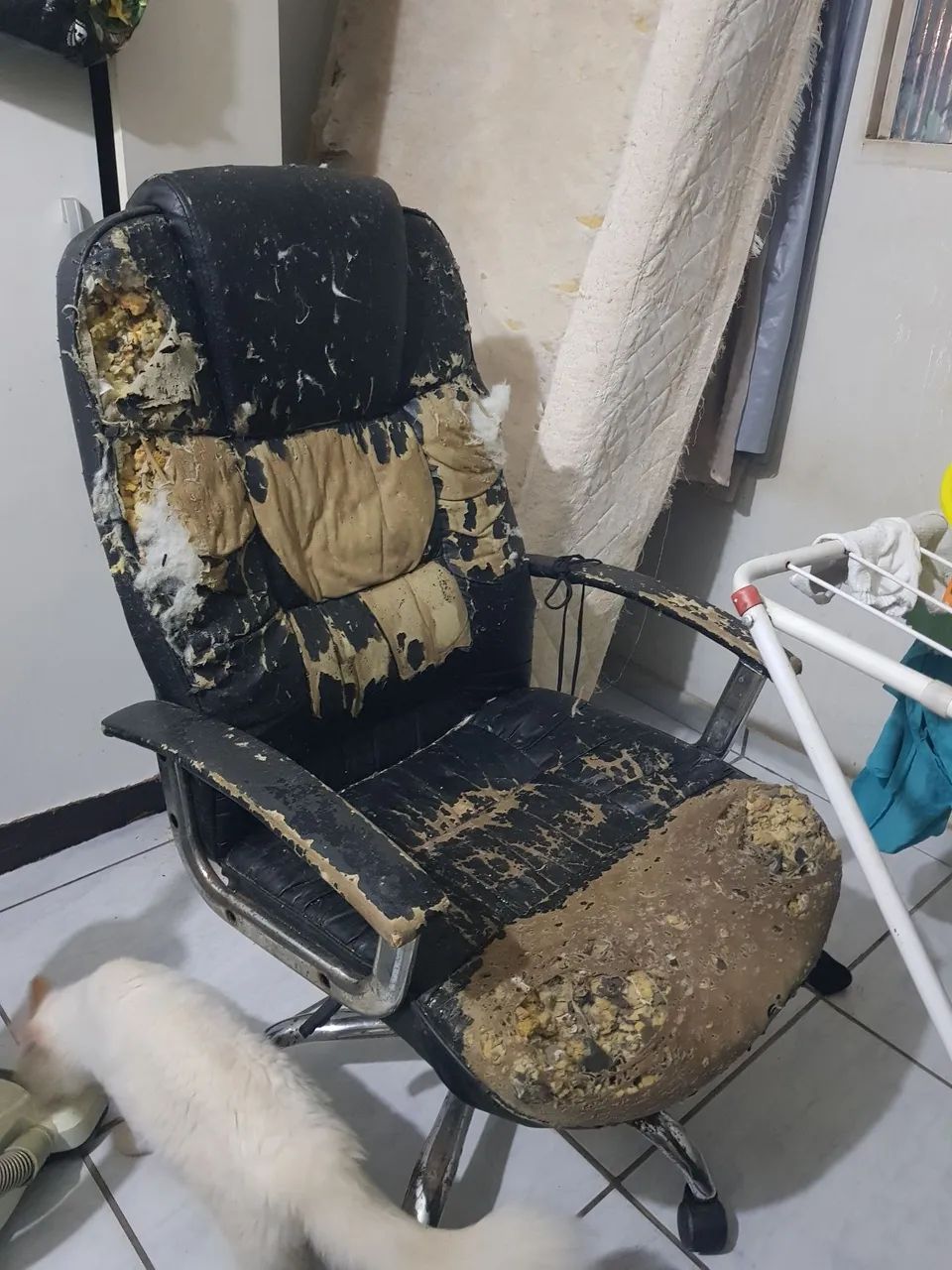 Swivel Chair