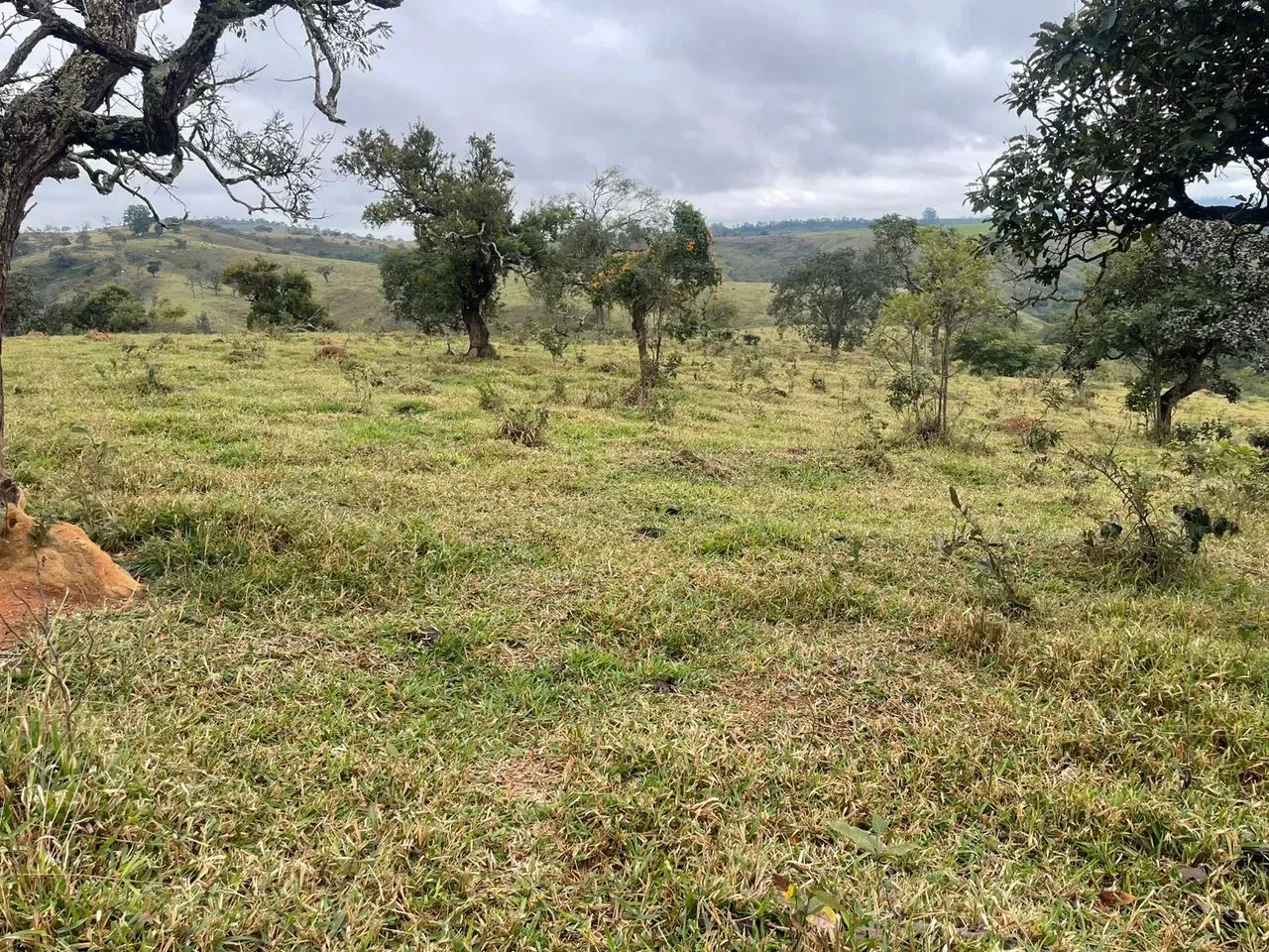 Fazenda dupla aptidão - Foto 4