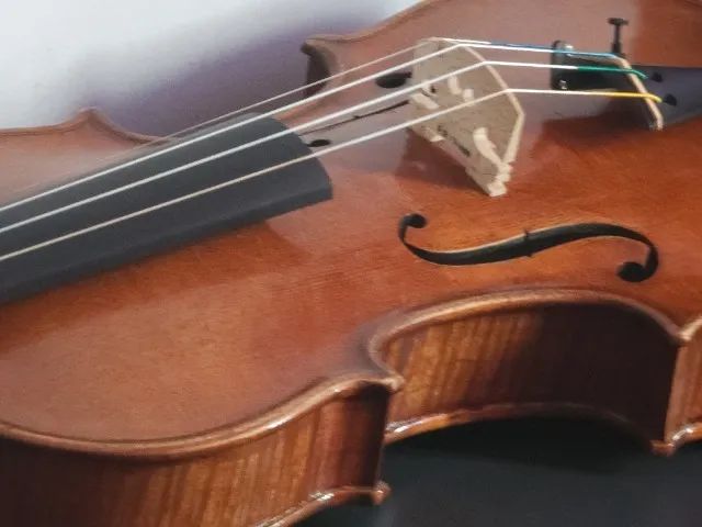 violino 4/4 Oficina - Foto 3