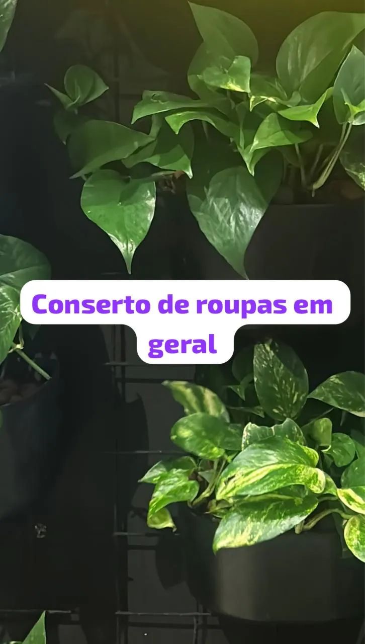 Vaga para costureira