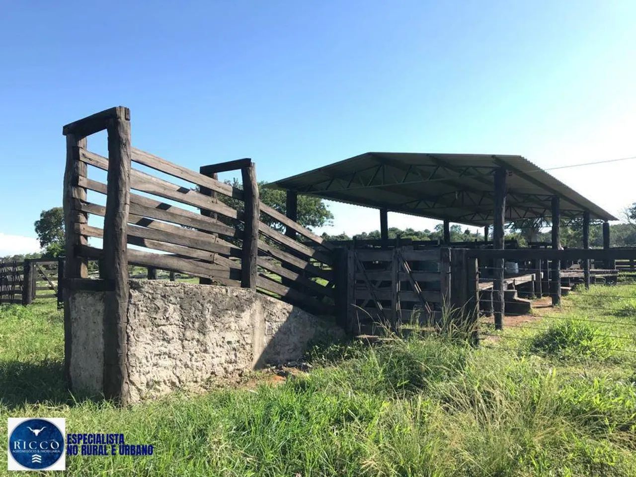 Fazenda à Venda em Nova Crixás  GO | 55 Alqueires | 100% formada - Foto 4