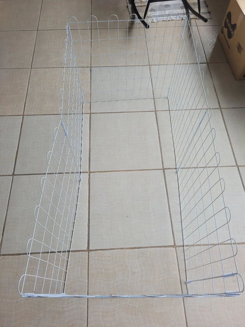 Cerca canina  - Foto 3