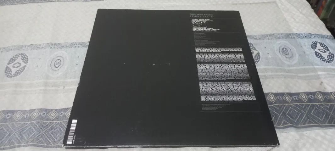 Wild Beasts Limbo, Panto LP Vinil 2008 - Foto 2