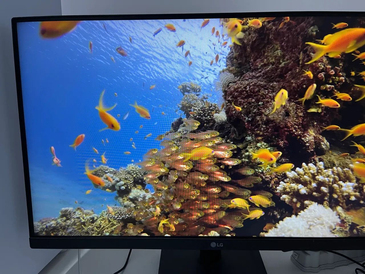 Monitor Pc Gamer Antirreflexo FullHD LG 23.8" IPS - 24MP400