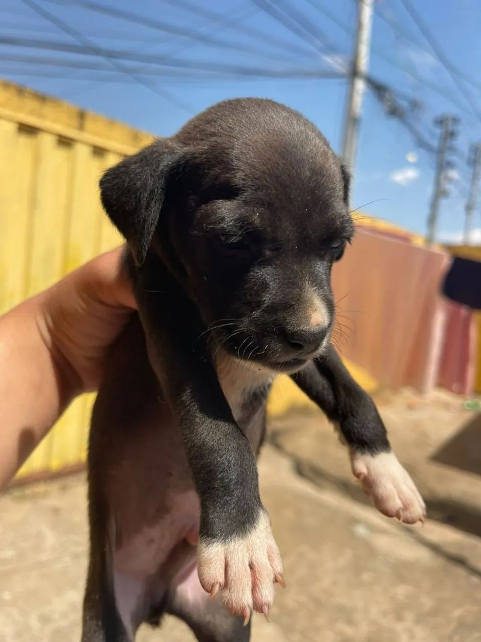 Doação - Foto 4