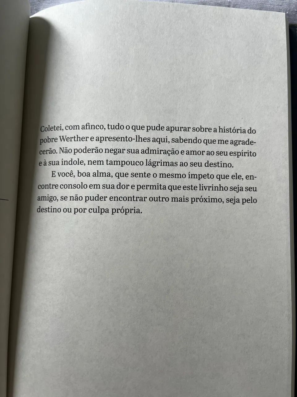 Os sofrimentos do jovem Werther_TAG - Foto 3