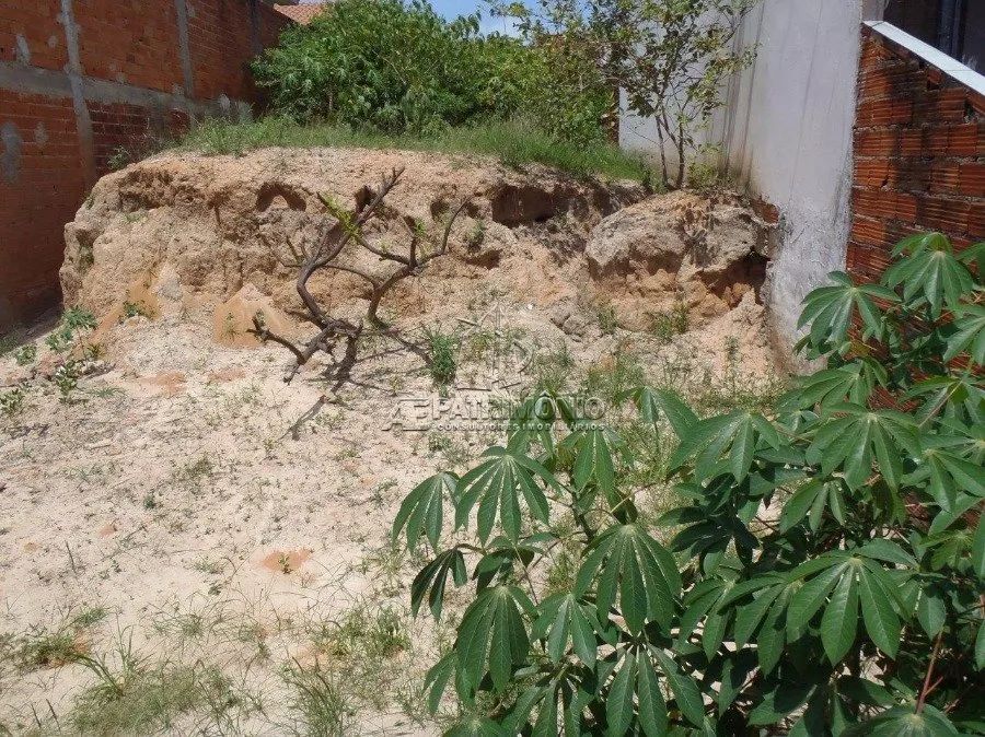 TERRENO,0 Dormitorio(s) bairro Barão - Foto 2