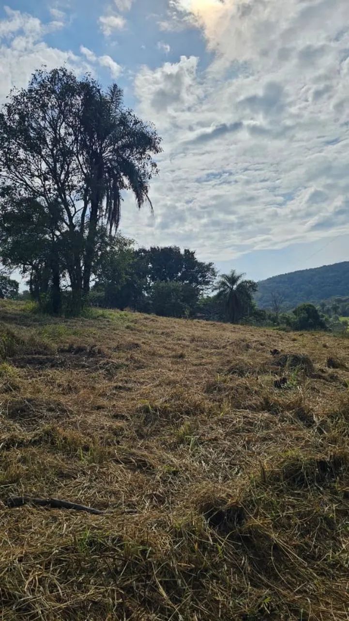 Terreno rural em nova serrana  - Foto 5
