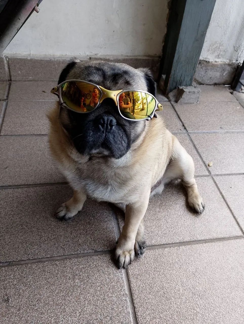Óculos Oakley masculino  - Foto 2