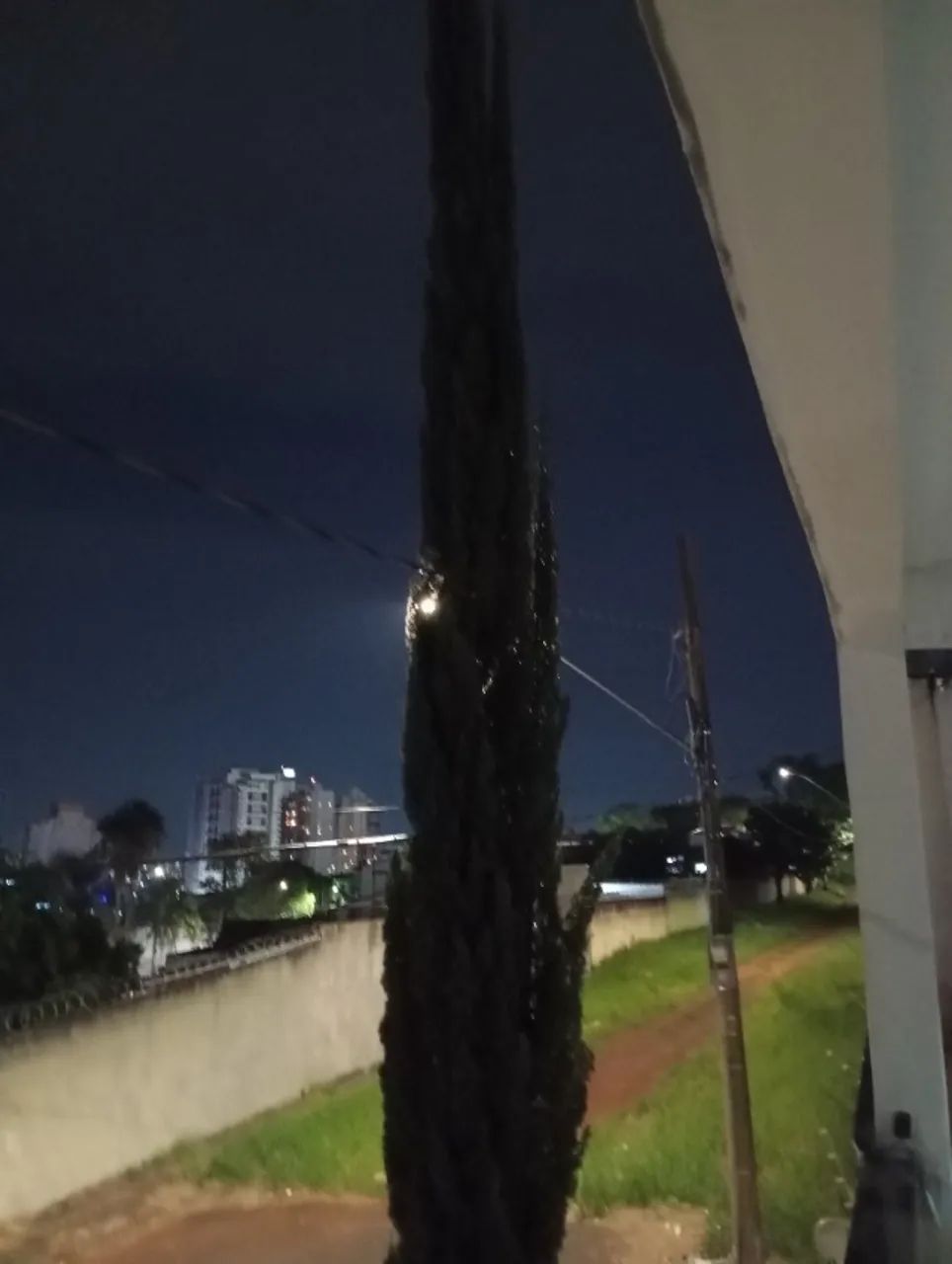 Pinheiro  - Foto 2