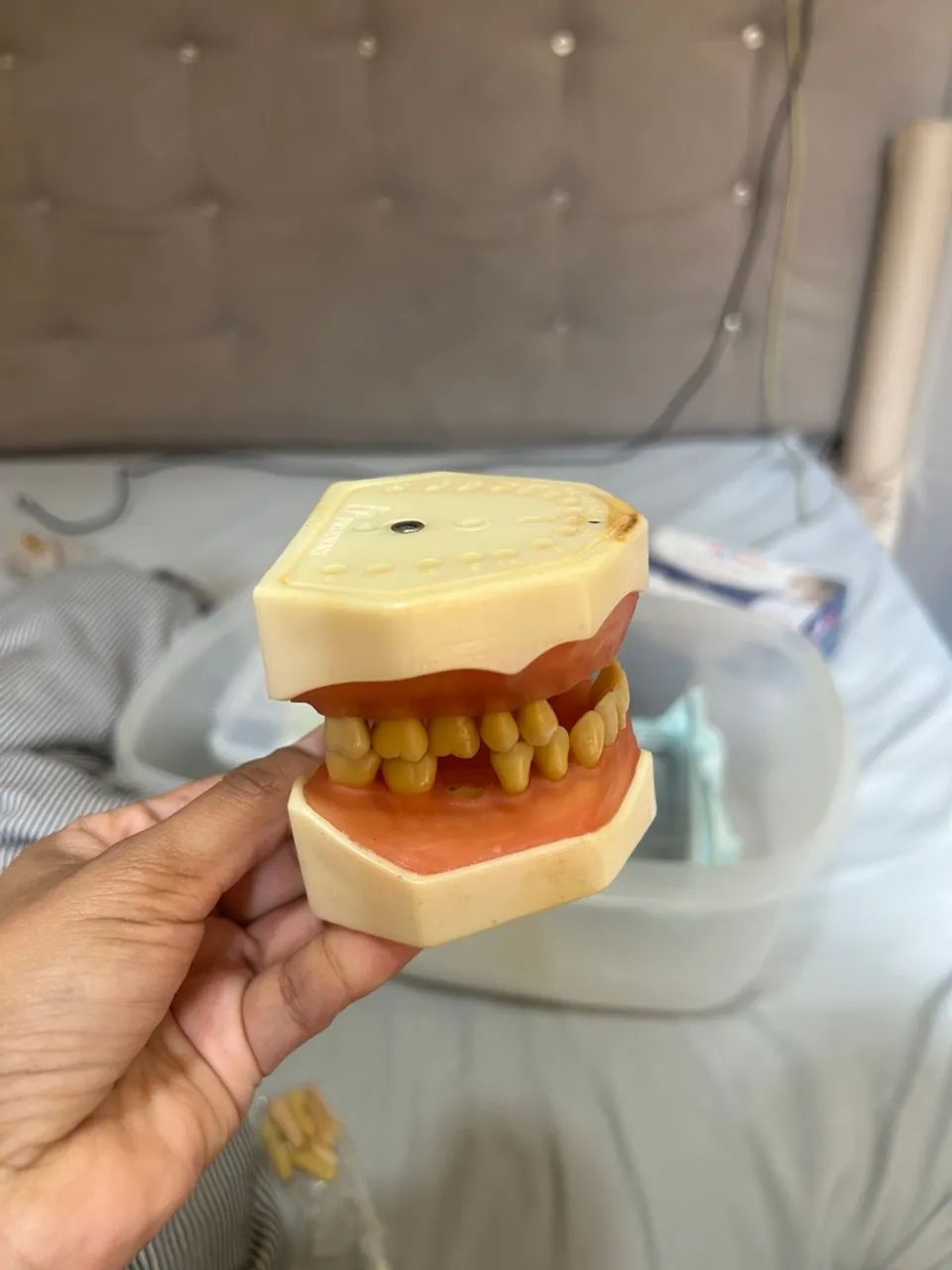 Refil manequim odontológico  - Foto 4