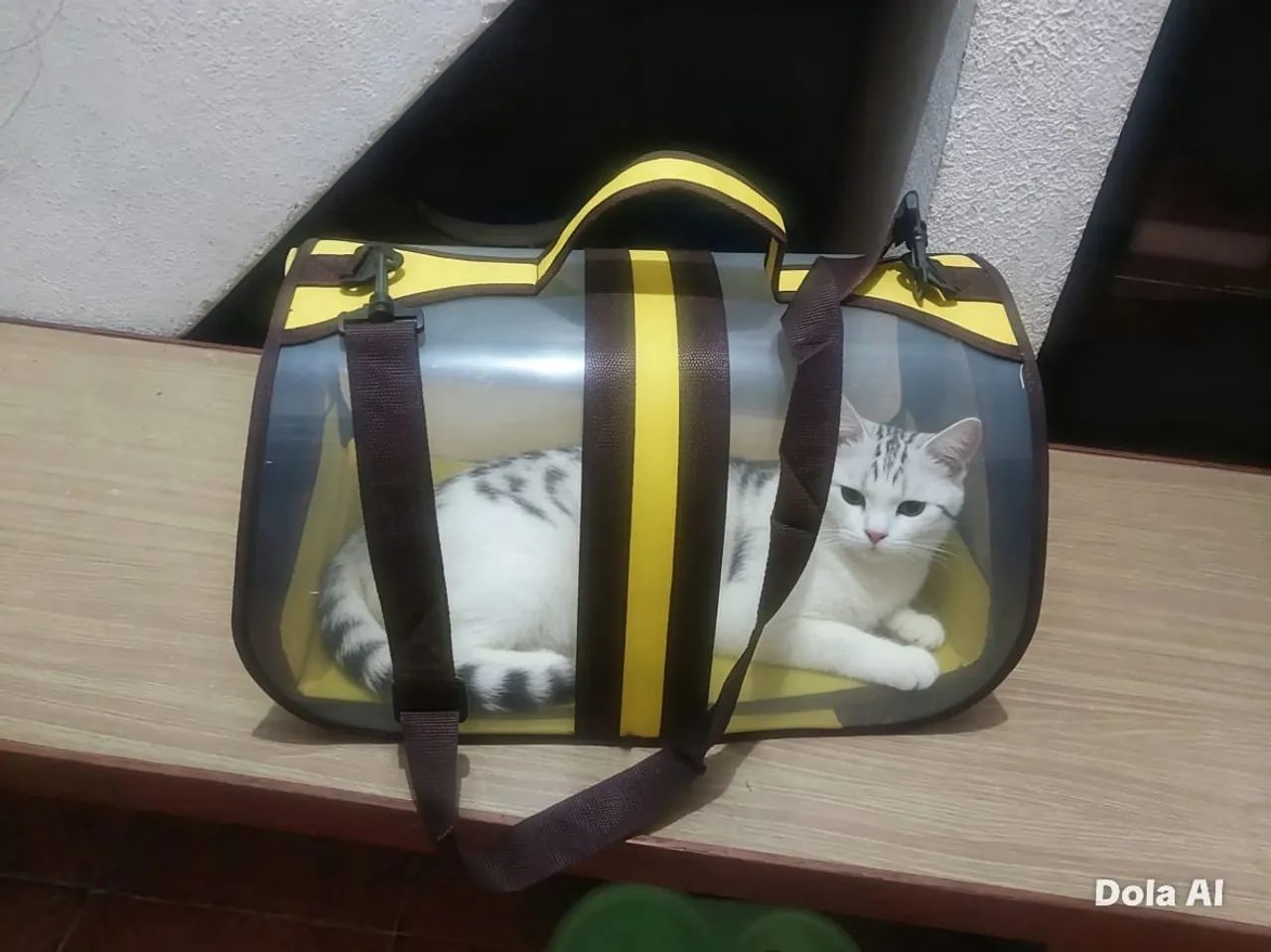 Vendo  - Foto 3