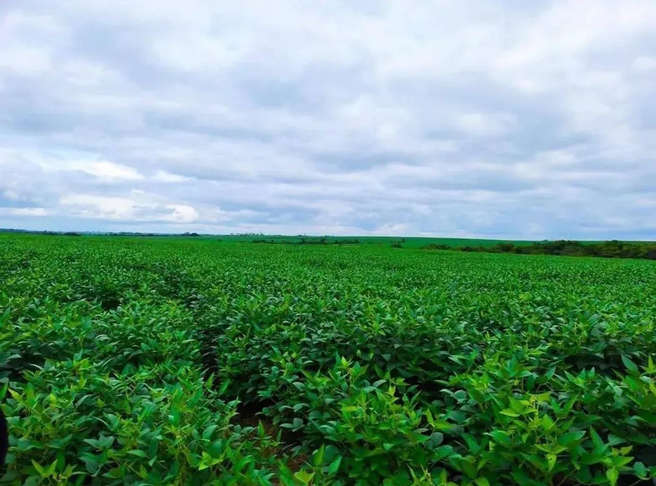 Fazenda a venda, em Santa Rita do Tocantins - Foto 4
