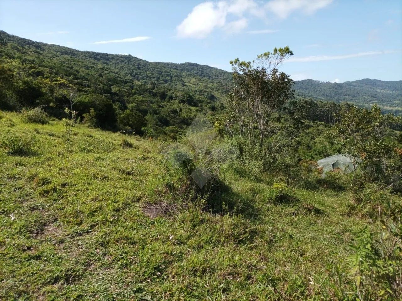 Terreno à venda, 10 hectares, Morro do Fortunato- Garopaba-SC - Foto 3