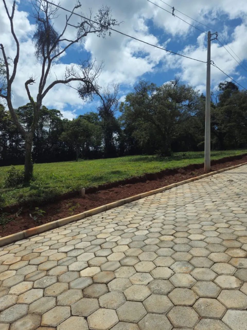 Chácaras a 4 km do centro de Conselheiro Lafaiete - Foto 3