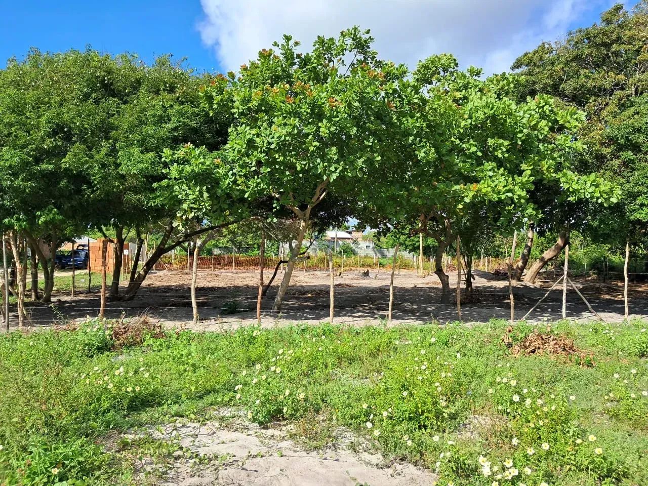LOTE - prais de Subauma - Foto 3