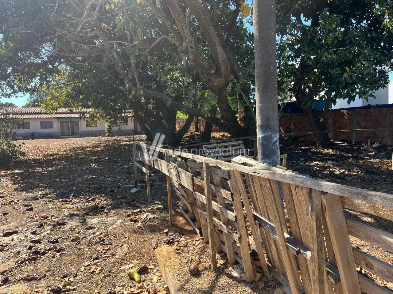 Área na Av. José Paulíno em Paulínia - Foto 3